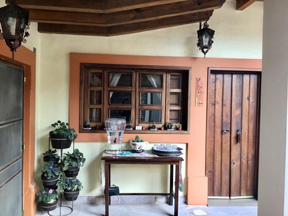 Casa Tia Anita, Hotel Boutique Mascota Exterior foto